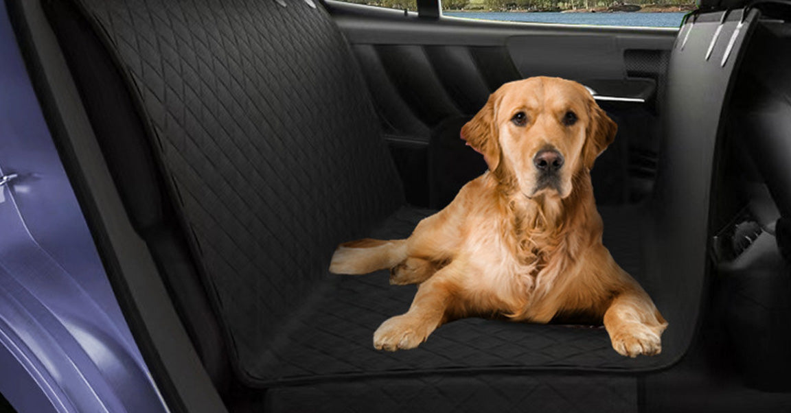 Pet Seat Cover（Thin） LMY